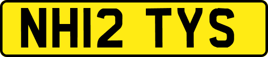 NH12TYS