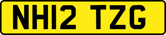 NH12TZG