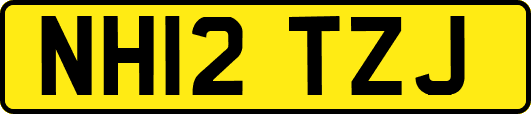 NH12TZJ