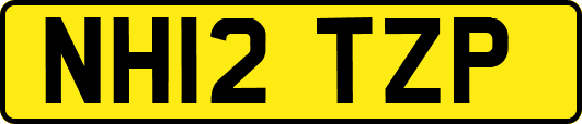 NH12TZP