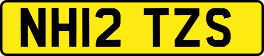 NH12TZS
