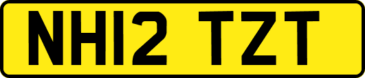 NH12TZT