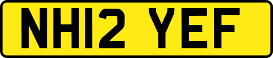 NH12YEF