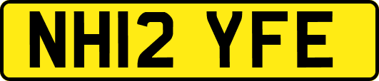 NH12YFE