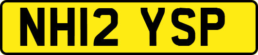 NH12YSP