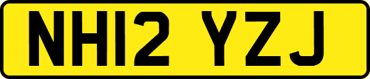 NH12YZJ