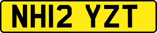 NH12YZT