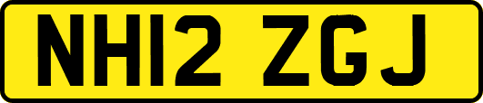NH12ZGJ