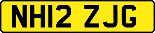NH12ZJG