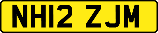 NH12ZJM