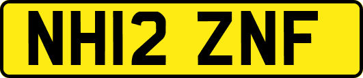 NH12ZNF