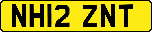 NH12ZNT