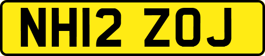 NH12ZOJ