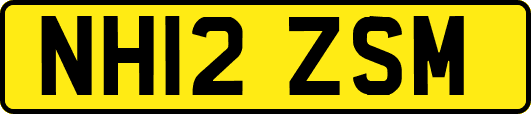 NH12ZSM