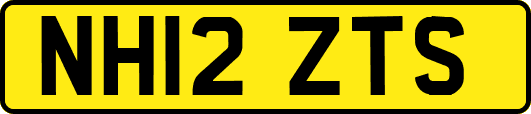 NH12ZTS