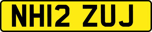 NH12ZUJ