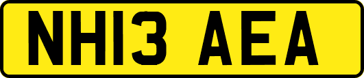 NH13AEA