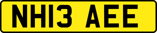 NH13AEE