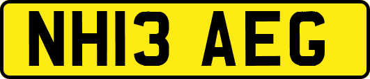 NH13AEG