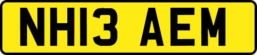 NH13AEM