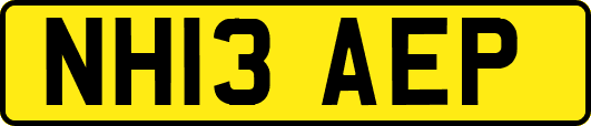 NH13AEP