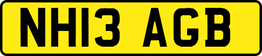 NH13AGB