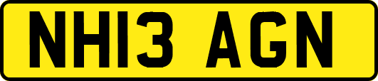 NH13AGN