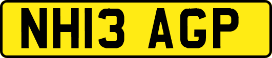 NH13AGP