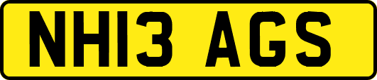 NH13AGS