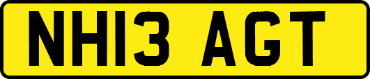 NH13AGT