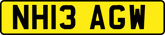 NH13AGW