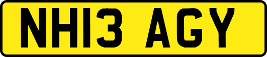 NH13AGY