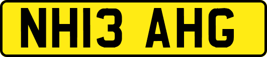 NH13AHG