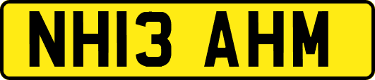 NH13AHM