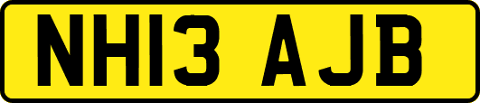 NH13AJB