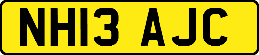NH13AJC