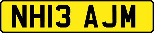 NH13AJM