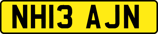 NH13AJN