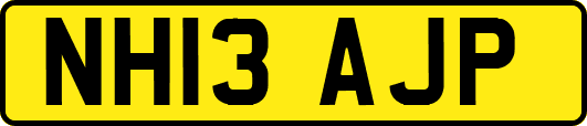 NH13AJP