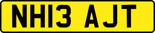 NH13AJT