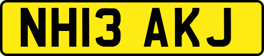 NH13AKJ