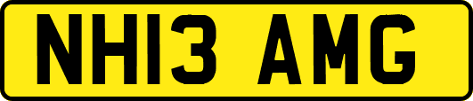 NH13AMG