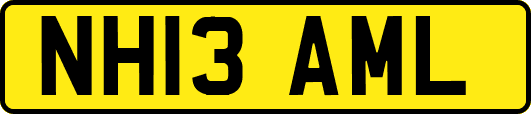 NH13AML