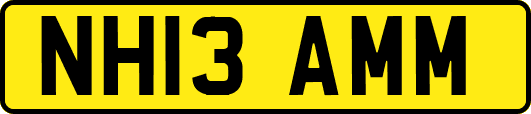 NH13AMM