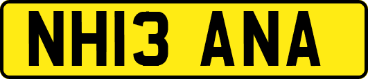 NH13ANA