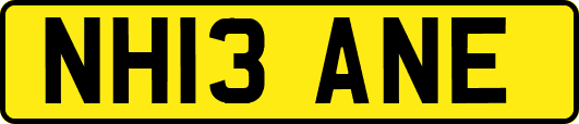 NH13ANE