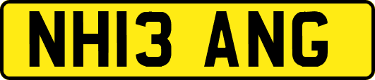 NH13ANG