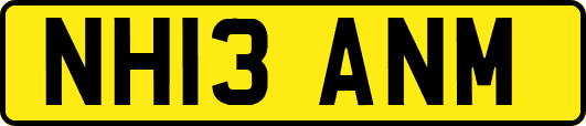 NH13ANM