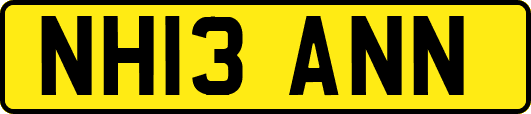 NH13ANN