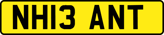 NH13ANT